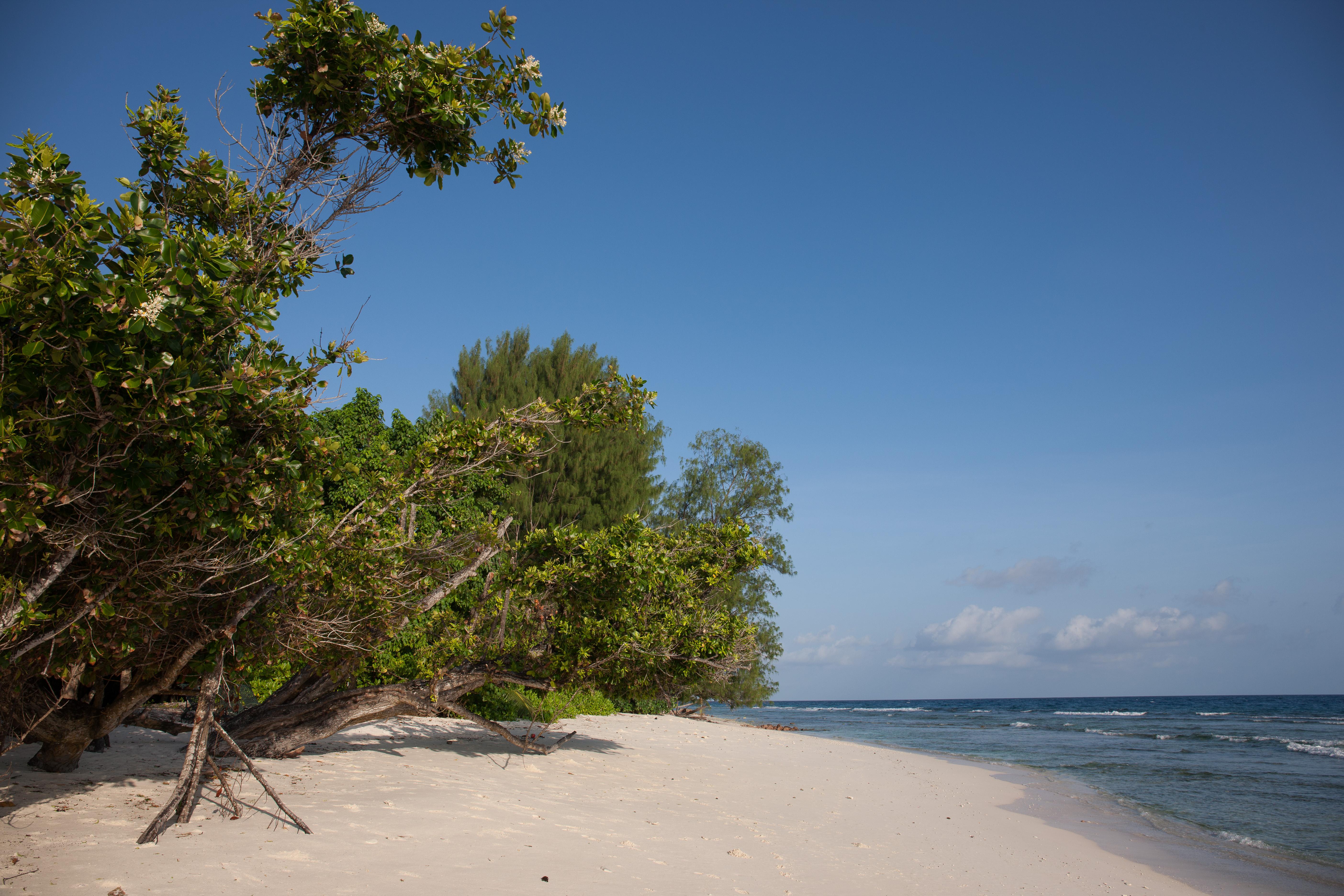 Le Relax Luxury Lodge (Adults Only) La Digue Buitenkant foto