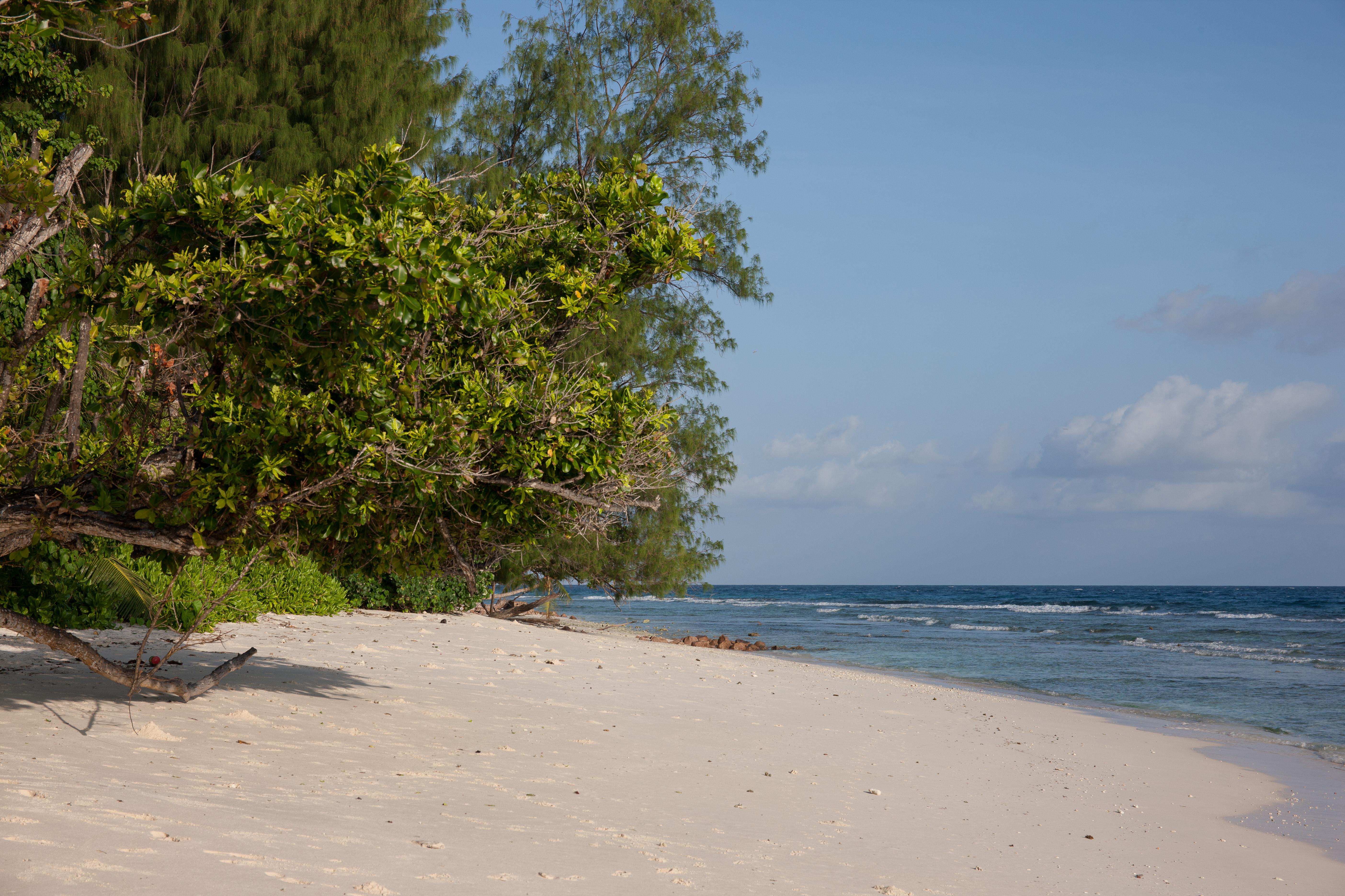 Le Relax Luxury Lodge (Adults Only) La Digue Buitenkant foto